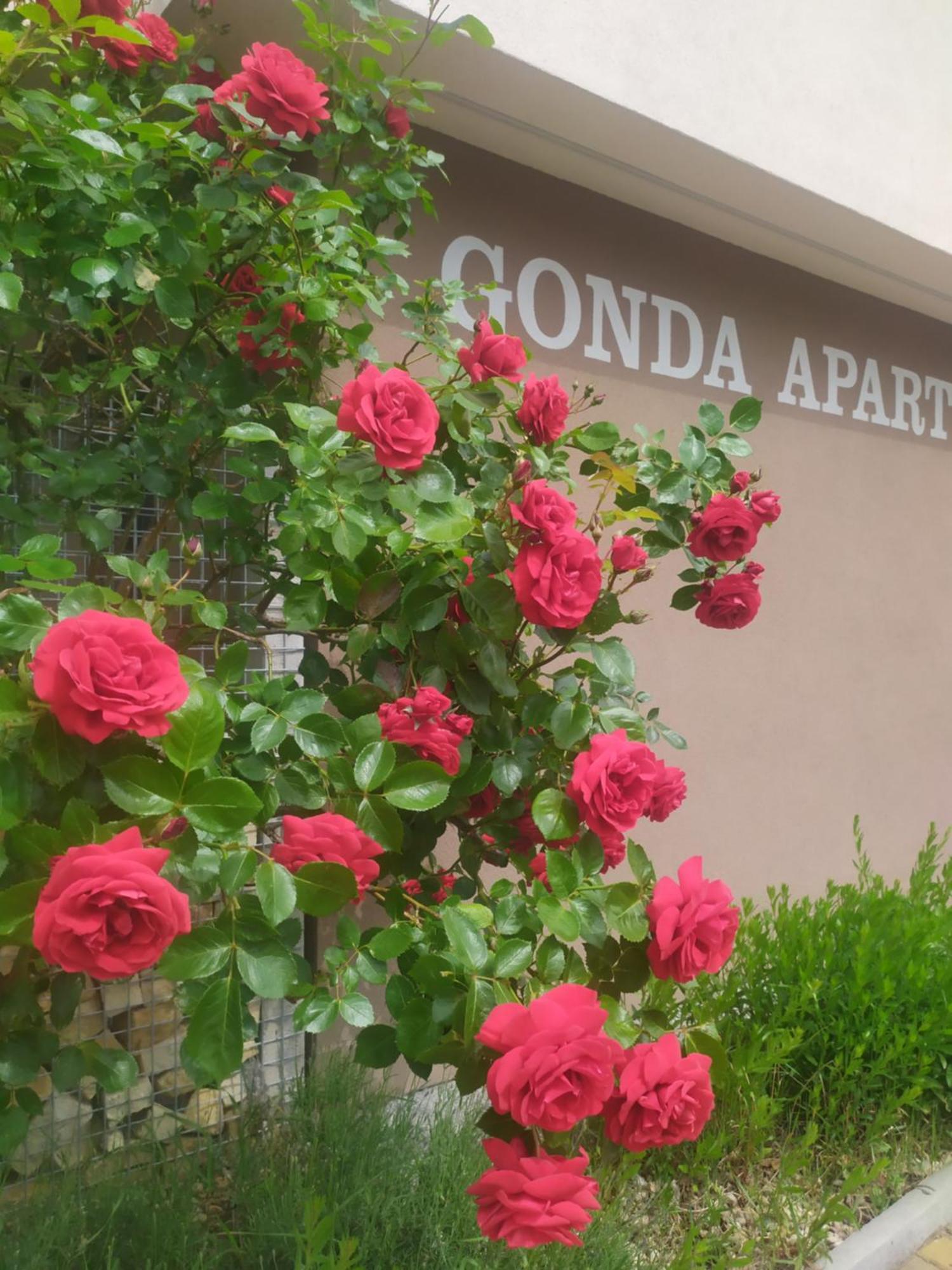 Gonda Apartments ฮราเดตสคราโลเว ภายนอก รูปภาพ
